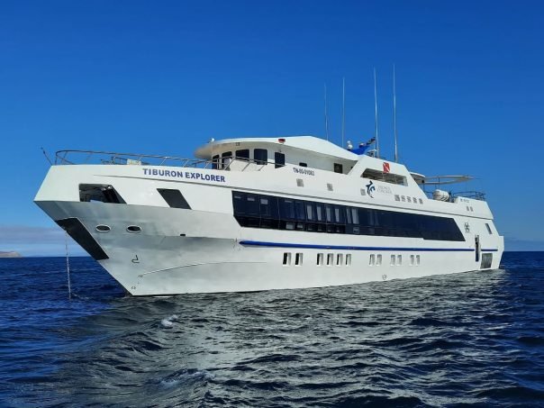 Sailing-Stream.fr ⚓ Tiburon Explorer : agencement et spécifications | Bateau de plongée aux Galapagos ⚓ Bateaux de croisière